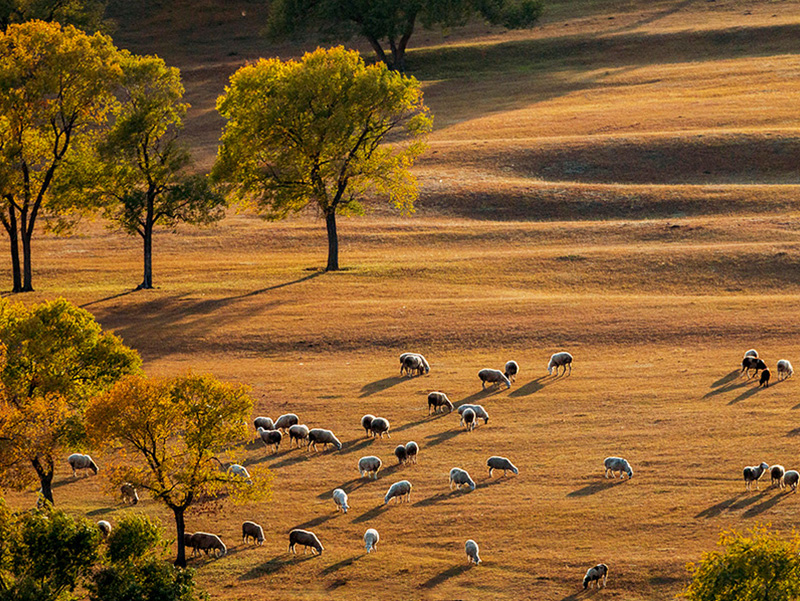 1742174978137520.jpg 未標(biāo)題-2.jpg