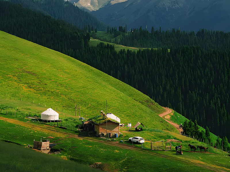 1742785568144371.jpg 未標(biāo)題-1111.jpg