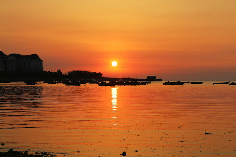 1743988524520254.jpg 未標題-1.jpg