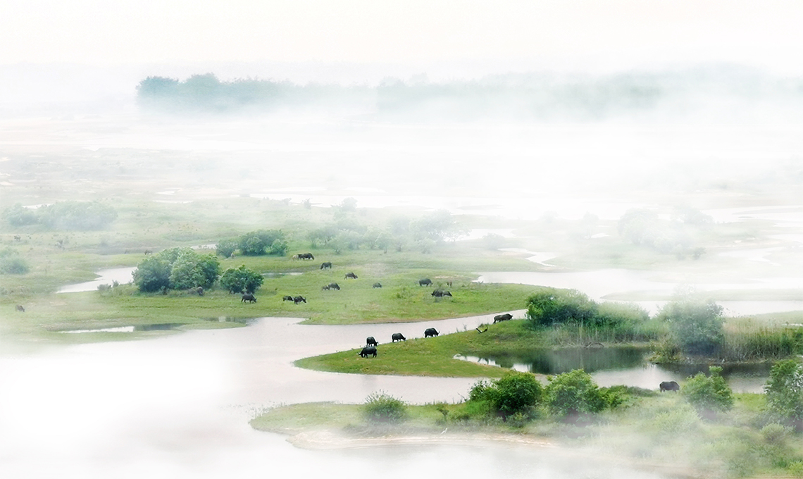 1750038657123273.jpg 未標題-2.jpg