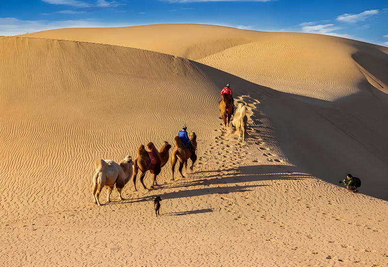 1755069925255264.jpg bd6716f0-04e2-40b6-8f77-7c55858410d3.jpg